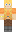 skin of a player