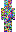 skin of a player