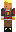 skin of a player