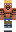 skin of a player