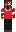 skin of a player