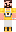 skin of a player
