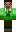 skin of a player