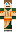 skin of a player