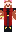 skin of a player