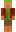 skin of a player
