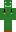 skin of a player