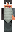 skin of a player