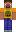 skin of a player