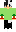 skin of a player