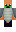 skin of a player