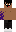 skin of a player
