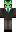 skin of a player