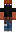 skin of a player