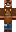 skin of a player