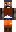 skin of a player