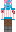 skin of a player