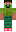 skin of a player