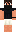 skin of a player