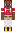 skin of a player
