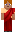 skin of a player