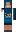 skin of a player