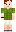 skin of a player