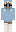 skin of a player