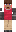 skin of a player