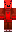 skin of a player