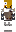 skin of a player