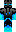 skin of a player