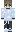 skin of a player
