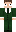 skin of a player