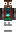 skin of a player