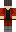 skin of a player