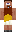skin of a player