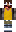 skin of a player