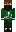 skin of a player