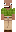 skin of a player