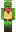 skin of a player