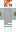 skin of a player