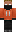 skin of a player
