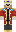 skin of a player