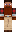 skin of a player