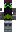 skin of a player