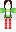skin of a player