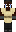 skin of a player