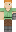skin of a player