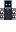 skin of a player